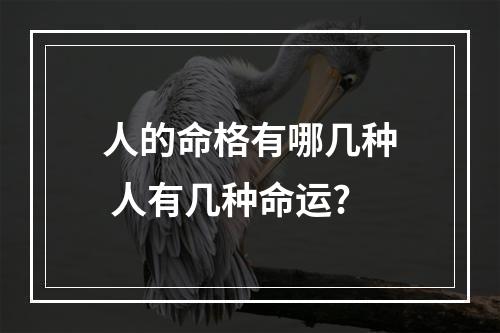 人的命格有哪几种 人有几种命运?