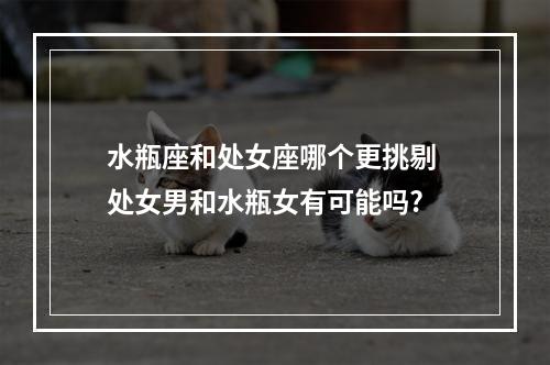 水瓶座和处女座哪个更挑剔 处女男和水瓶女有可能吗?