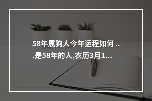 58年属狗人今年运程如何 ...是58年的人,农历3月16日过生日,今年的运势如何?谢谢!