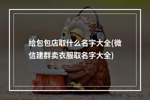 给包包店取什么名字大全(微信建群卖衣服取名字大全)