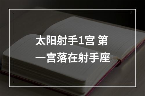 太阳射手1宫 第一宫落在射手座