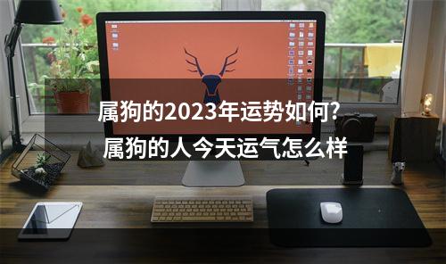 属狗的2023年运势如何? 属狗的人今天运气怎么样