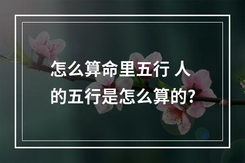 怎么算命里五行 人的五行是怎么算的?