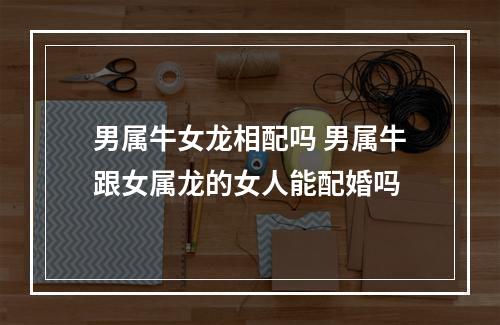 男属牛女龙相配吗 男属牛跟女属龙的女人能配婚吗