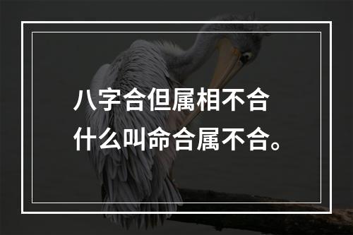 八字合但属相不合 什么叫命合属不合。
