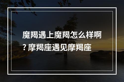 魔羯遇上魔羯怎么样啊? 摩羯座遇见摩羯座