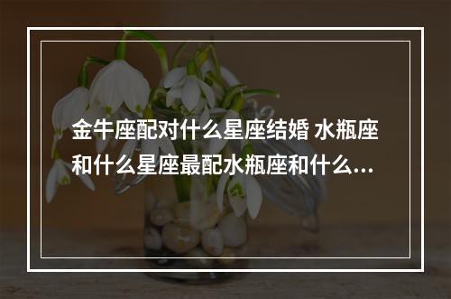 金牛座配对什么星座结婚 水瓶座和什么星座最配水瓶座和什么星座最配为什么