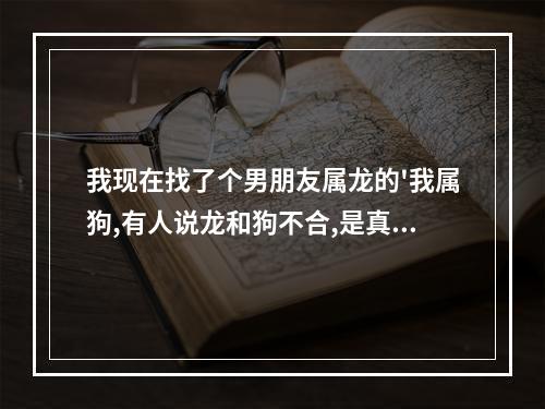 我现在找了个男朋友属龙的'我属狗,有人说龙和狗不合,是真的么,我该怎 ... 怎么对待属龙的男朋友