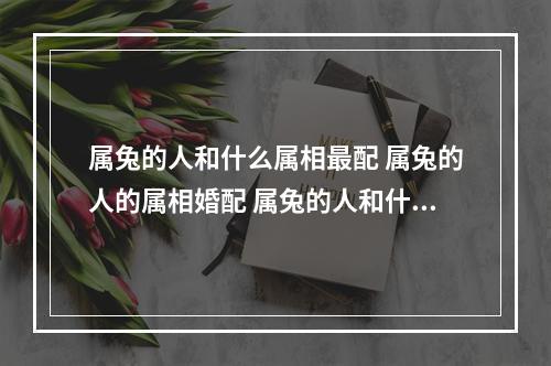 属兔的人和什么属相最配 属兔的人的属相婚配 属兔的人和什么属相冲