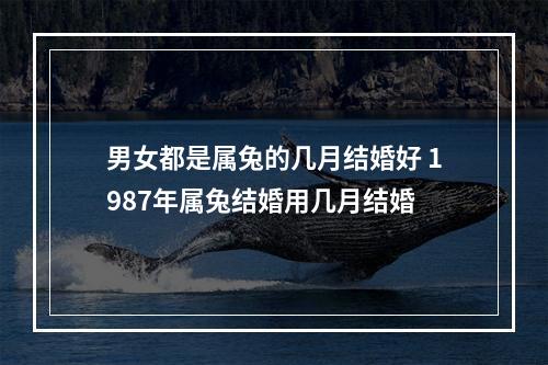 男女都是属兔的几月结婚好 1987年属兔结婚用几月结婚