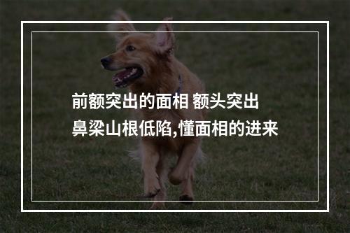 前额突出的面相 额头突出 鼻梁山根低陷,懂面相的进来