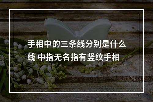 手相中的三条线分别是什么线 中指无名指有竖纹手相