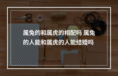 属兔的和属虎的相配吗 属兔的人能和属虎的人能结婚吗