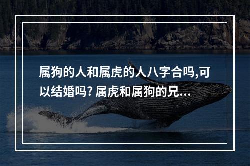 属狗的人和属虎的人八字合吗,可以结婚吗? 属虎和属狗的兄弟合吗