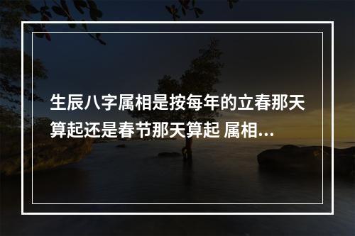 生辰八字属相是按每年的立春那天算起还是春节那天算起 属相按立春怎么算