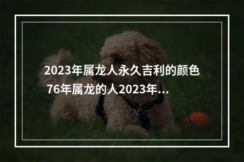 2023年属龙人永久吉利的颜色 76年属龙的人2023年的运势及运程