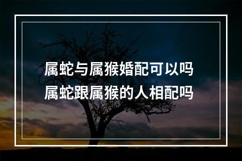 属蛇与属猴婚配可以吗 属蛇跟属猴的人相配吗