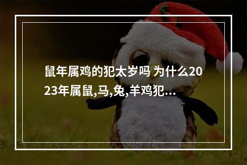 鼠年属鸡的犯太岁吗 为什么2023年属鼠,马,兔,羊鸡犯太岁?