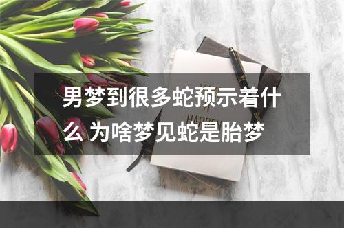 男梦到很多蛇预示着什么 为啥梦见蛇是胎梦