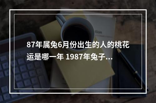 87年属兔6月份出生的人的桃花运是哪一年 1987年兔子桃花运