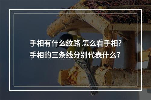 手相有什么纹路 怎么看手相?手相的三条线分别代表什么?