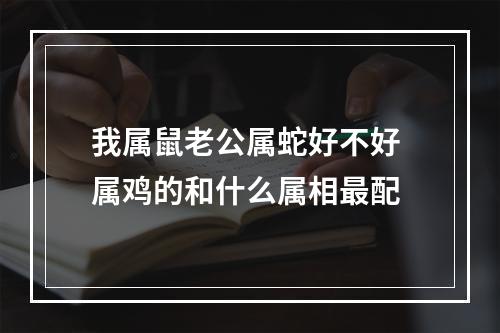 我属鼠老公属蛇好不好 属鸡的和什么属相最配