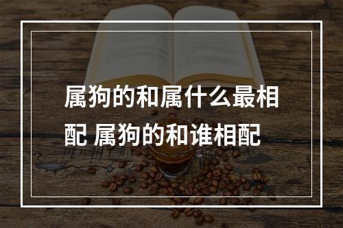 属狗的和属什么最相配 属狗的和谁相配