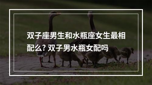 双子座男生和水瓶座女生最相配么? 双子男水瓶女配吗