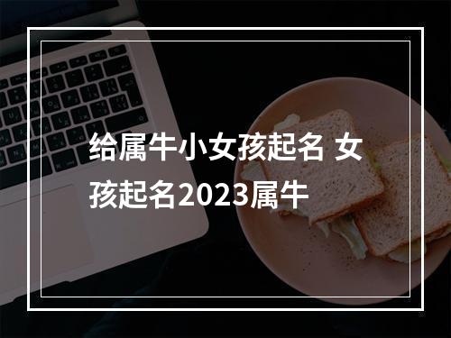 给属牛小女孩起名 女孩起名2023属牛