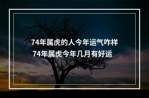 74年属虎的人今年运气咋样 74年属虎今年几月有好运