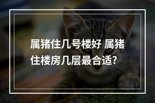 属猪住几号楼好 属猪住楼房几层最合适?