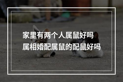 家里有两个人属鼠好吗 属相婚配属鼠的配鼠好吗