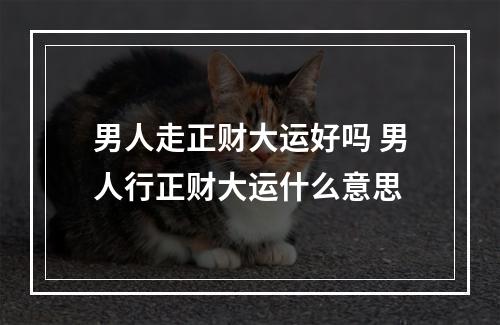 男人走正财大运好吗 男人行正财大运什么意思