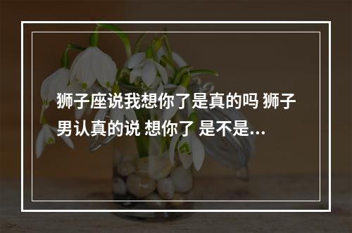 狮子座说我想你了是真的吗 狮子男认真的说 想你了 是不是真的动心喜欢一个人了?