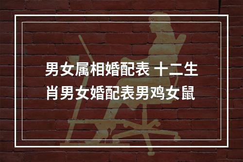 男女属相婚配表 十二生肖男女婚配表男鸡女鼠