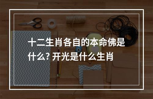 十二生肖各自的本命佛是什么? 开光是什么生肖