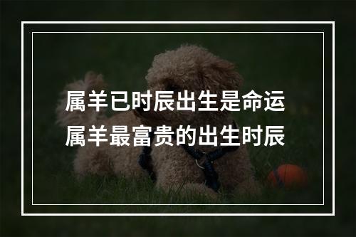 属羊已时辰出生是命运 属羊最富贵的出生时辰