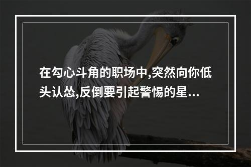 在勾心斗角的职场中,突然向你低头认怂,反倒要引起警惕的星座有哪些? 如果狮子座低头认错的后果