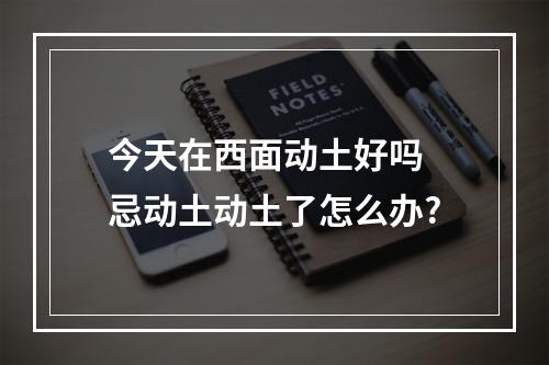 今天在西面动土好吗 忌动土动土了怎么办?