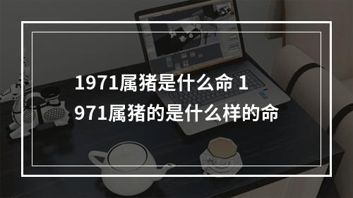 1971属猪是什么命 1971属猪的是什么样的命