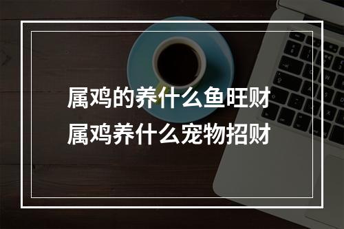 属鸡的养什么鱼旺财 属鸡养什么宠物招财