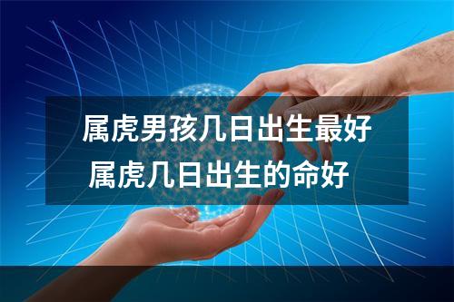 属虎男孩几日出生最好 属虎几日出生的命好