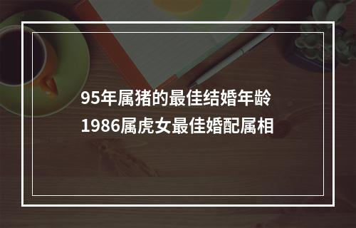 95年属猪的最佳结婚年龄 1986属虎女最佳婚配属相