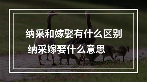 纳采和嫁娶有什么区别 纳采嫁娶什么意思