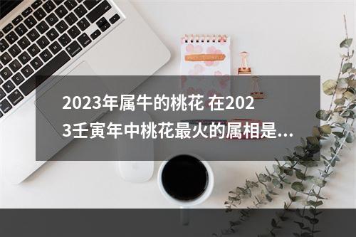 2023年属牛的桃花 在2023壬寅年中桃花最火的属相是哪个？