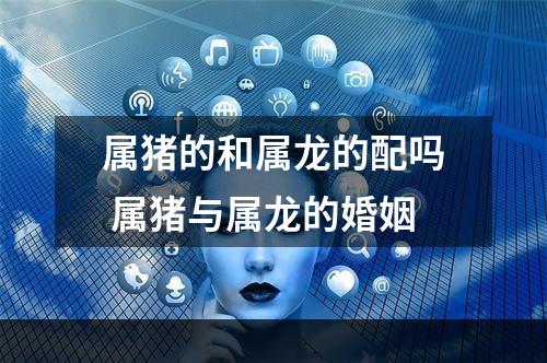 属猪的和属龙的配吗 属猪与属龙的婚姻