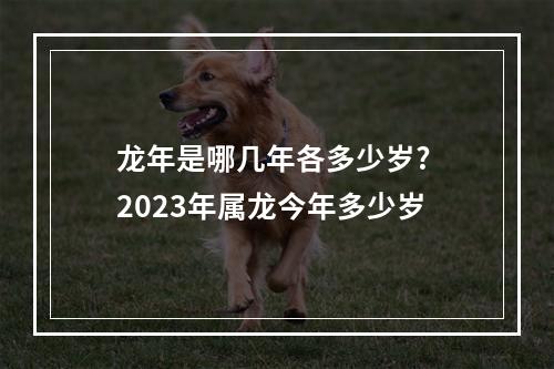 龙年是哪几年各多少岁? 2023年属龙今年多少岁