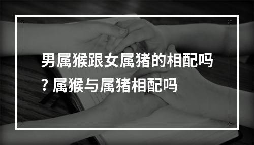 男属猴跟女属猪的相配吗? 属猴与属猪相配吗