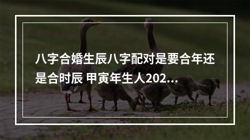 八字合婚生辰八字配对是要合年还是合时辰 甲寅年生人2023年每月运程每月运势
