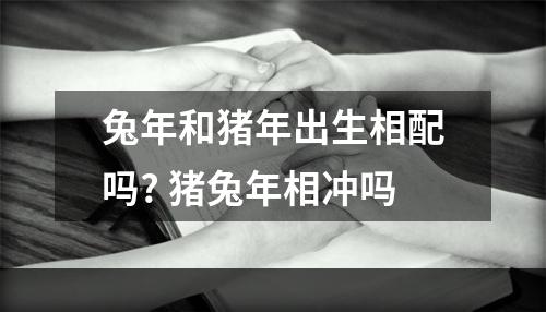兔年和猪年出生相配吗? 猪兔年相冲吗